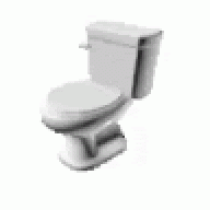 PolishToiletBeplnexMods